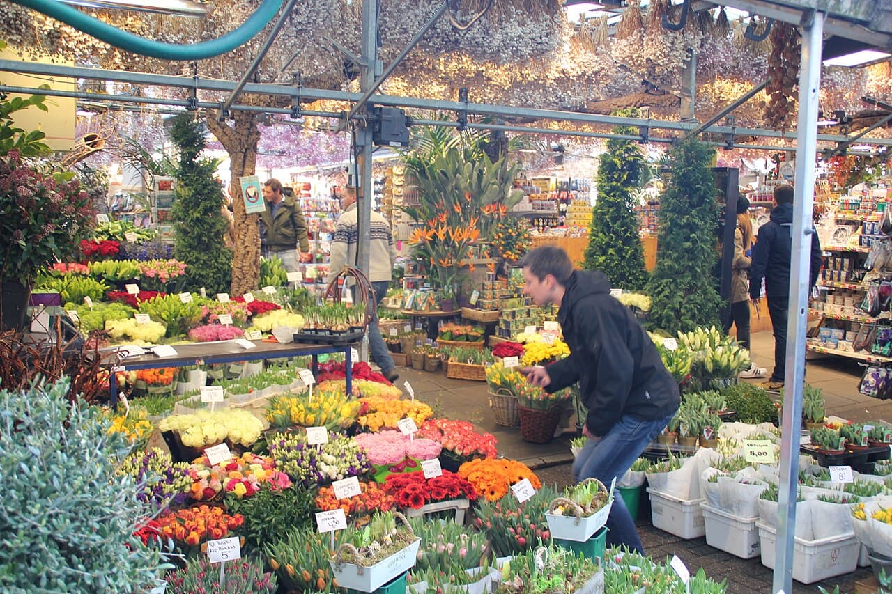 Tulips and bulbs on display at the floating Bloemenmarkt flower market