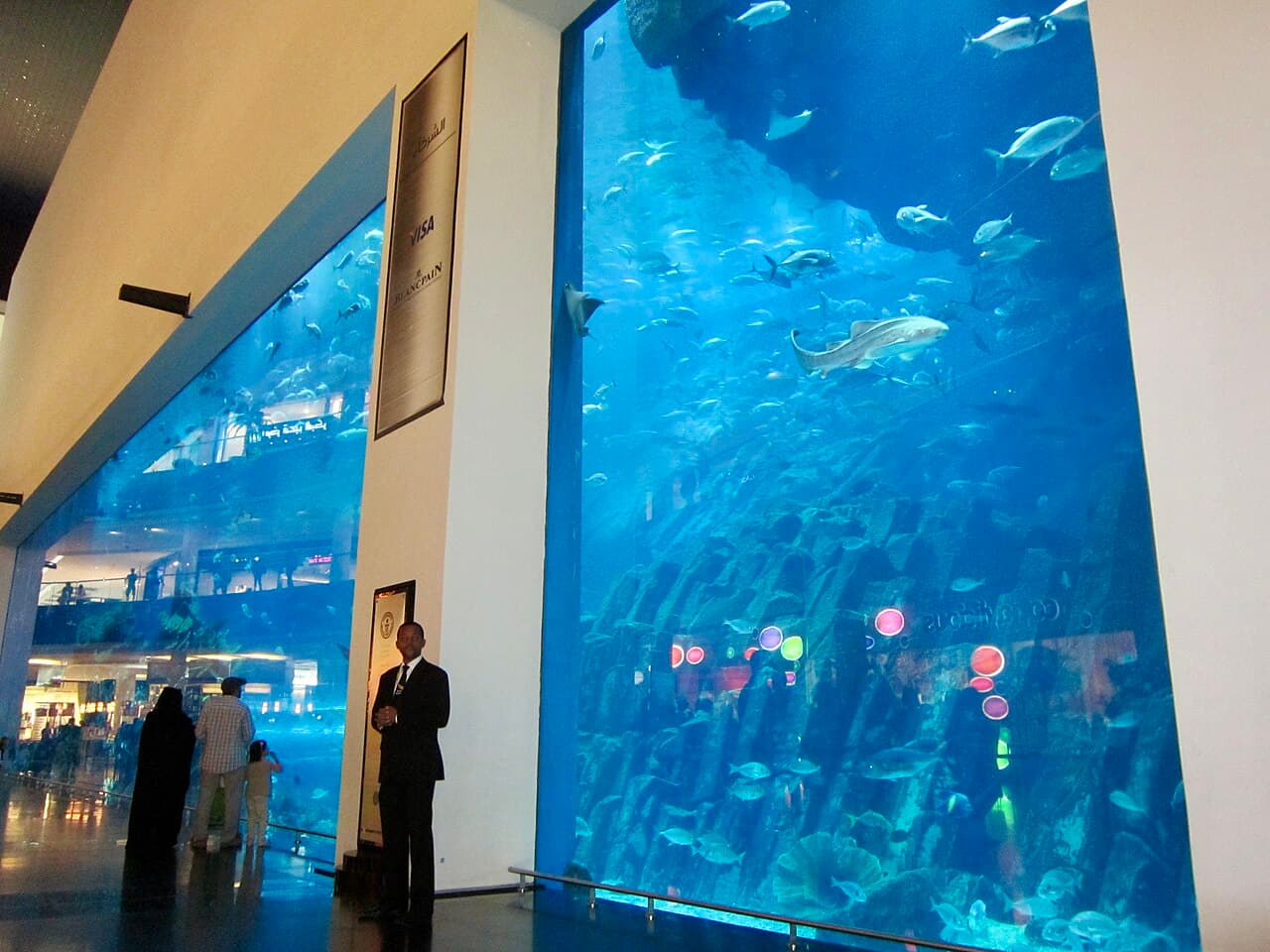 The aquarium at the Dubai Mall