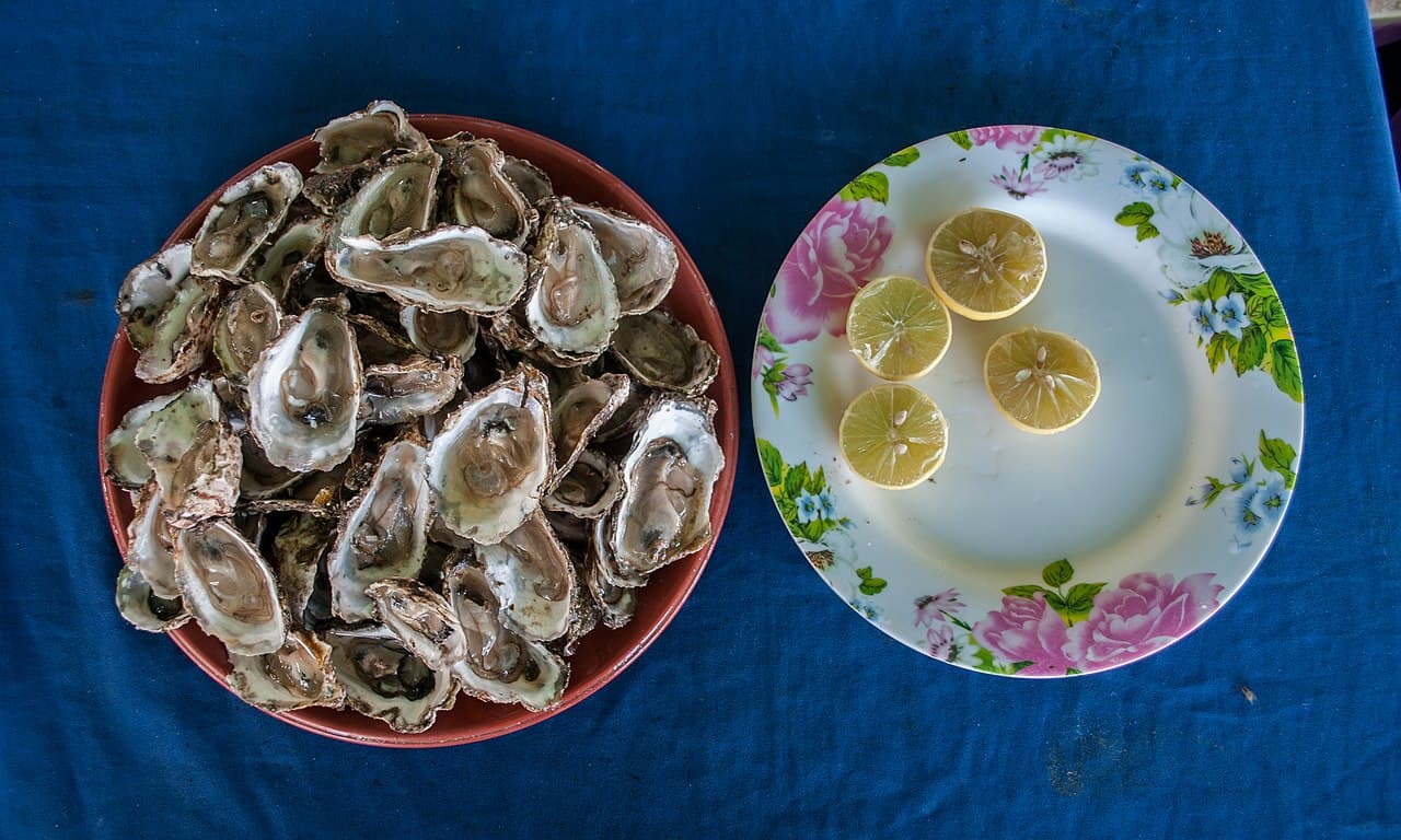 A plate of fresh Adriatic oysters