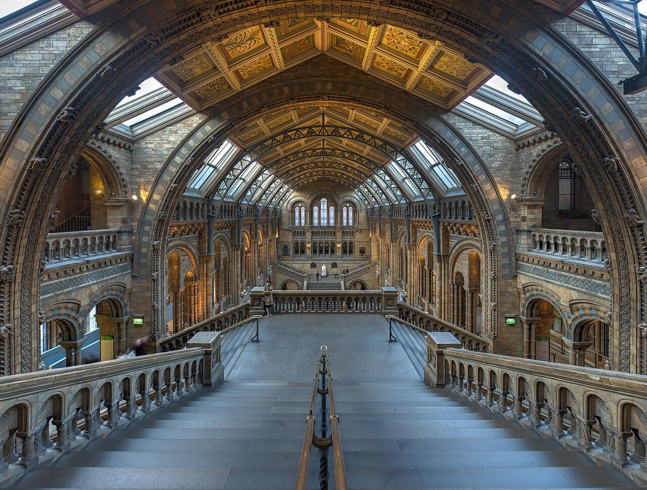 The Romanesque hall of the Natural History Museum