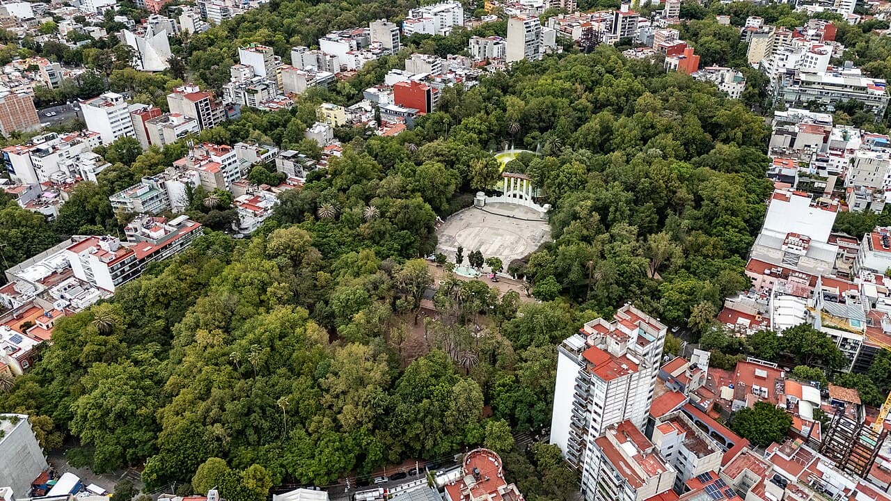 A leafy street in Condesa, Mexico City