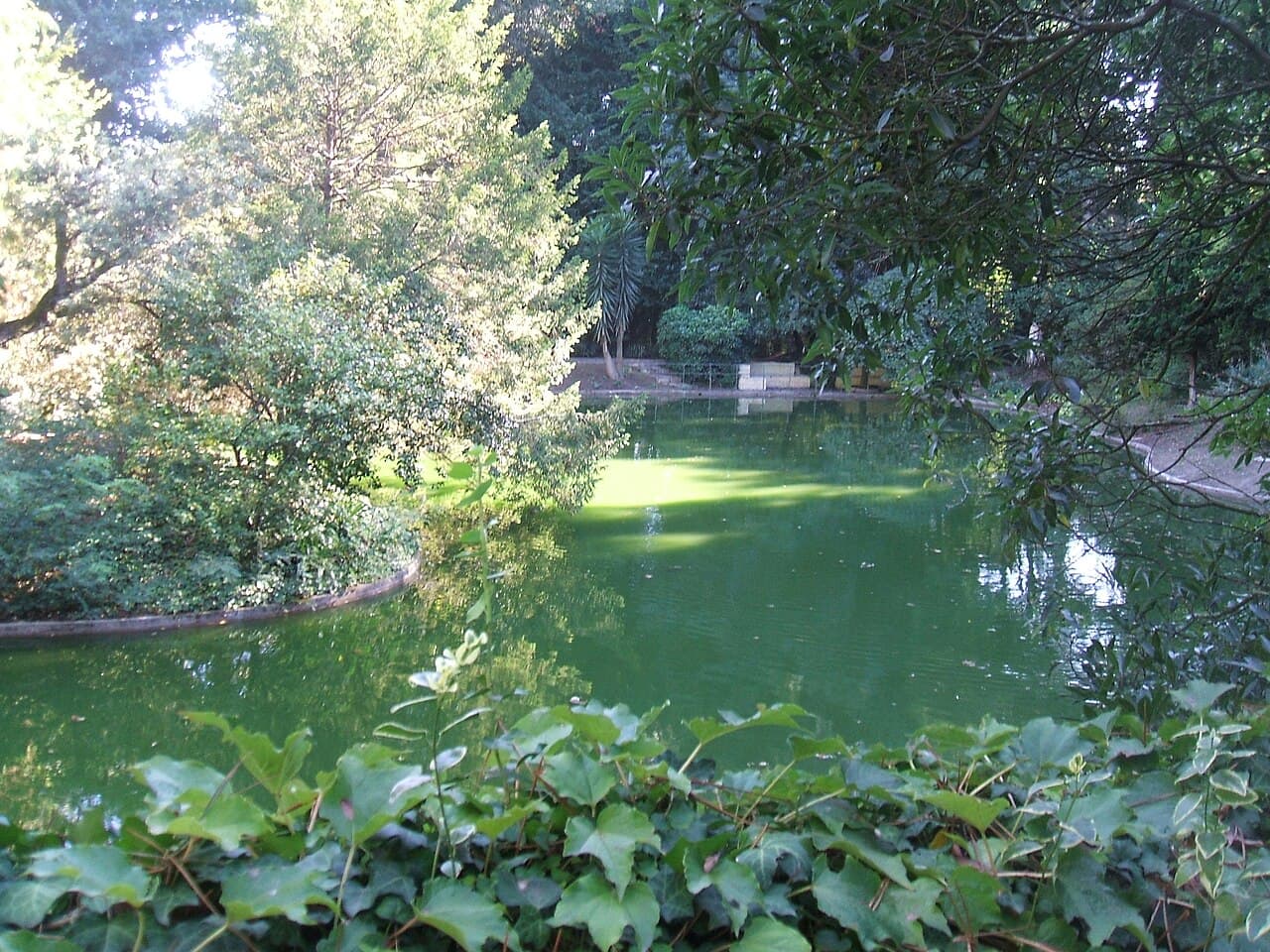 The Serralves museum and gardens, Porto