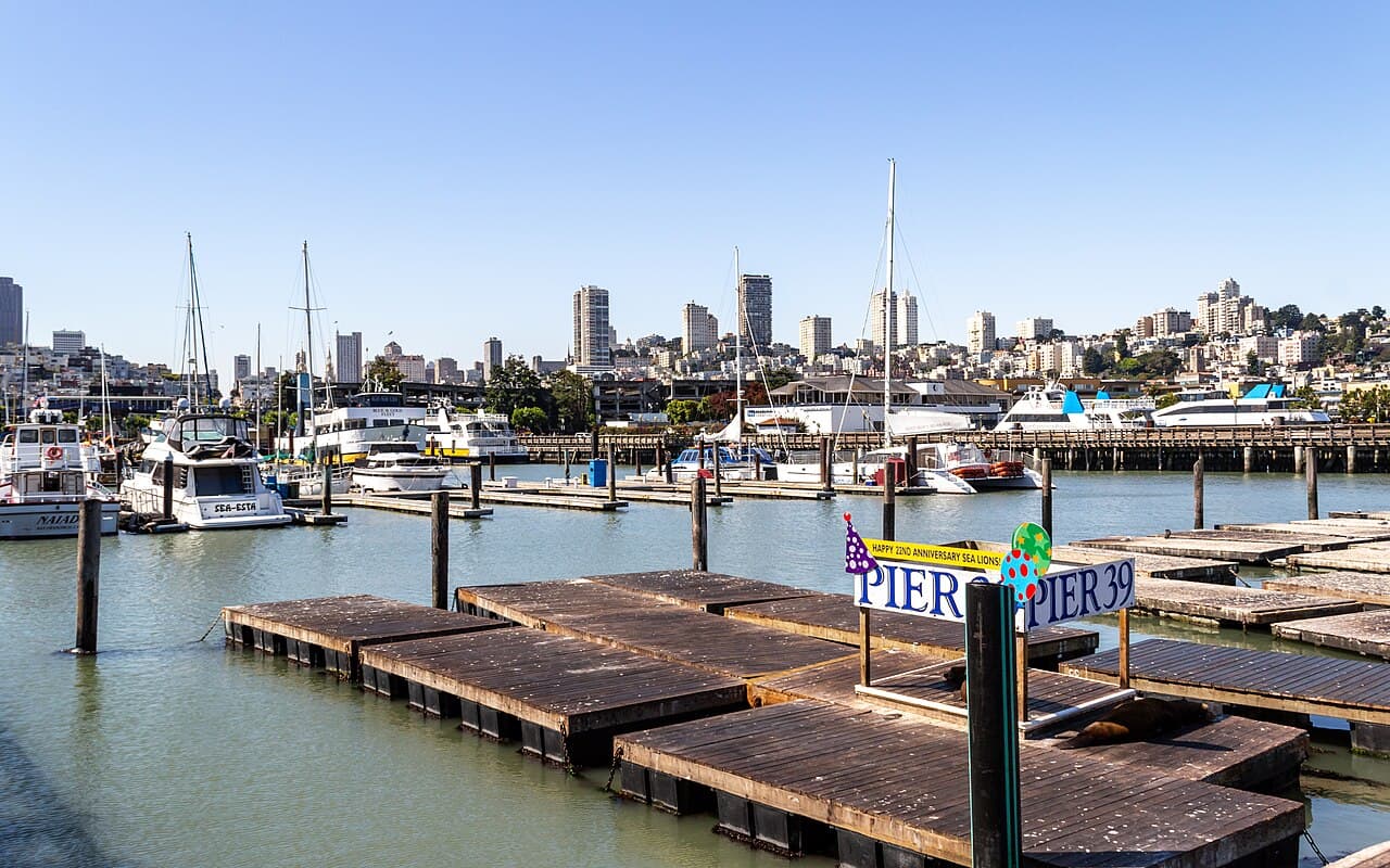 Sea lions at Pier 39, San Francisco