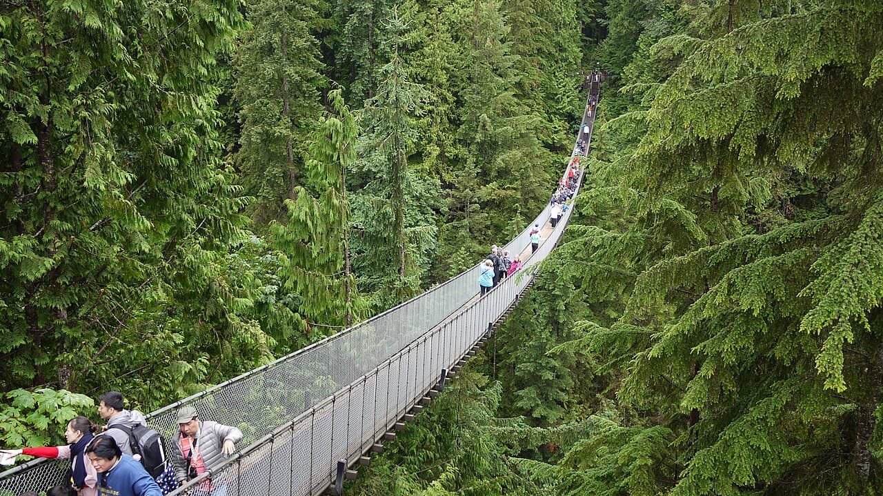 The Capilano Suspension Bridge, Vancouver