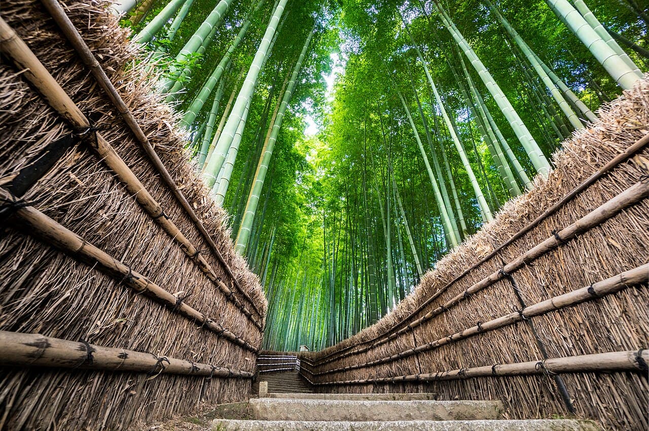 Streets of Arashiyama, Kyoto