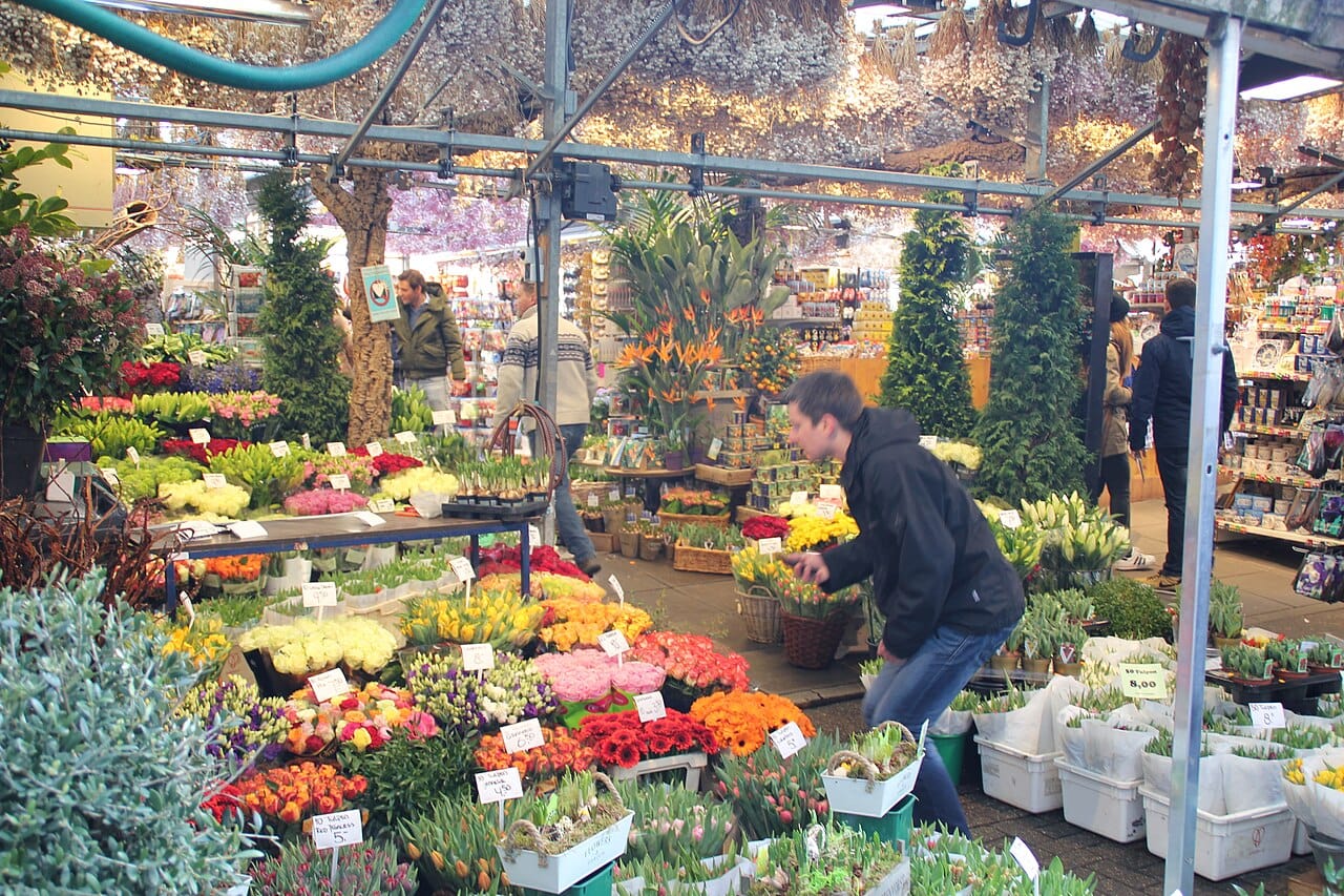 Tulips and bulbs on display at the floating Bloemenmarkt flower market