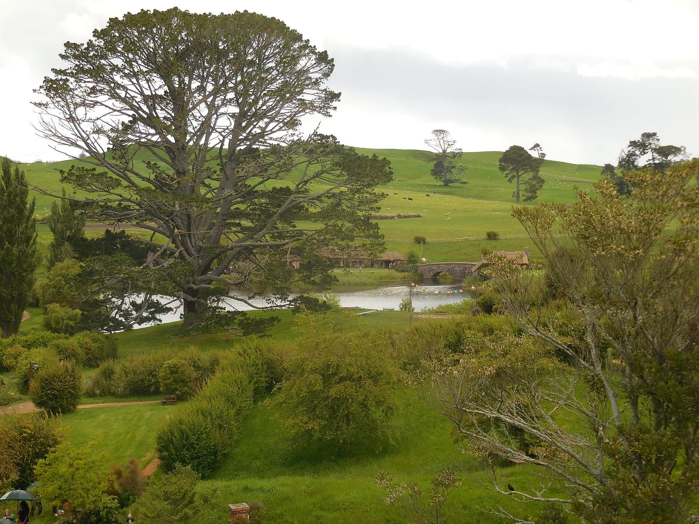 The rolling green hills of the Hobbiton set near Matamata, New Zealand