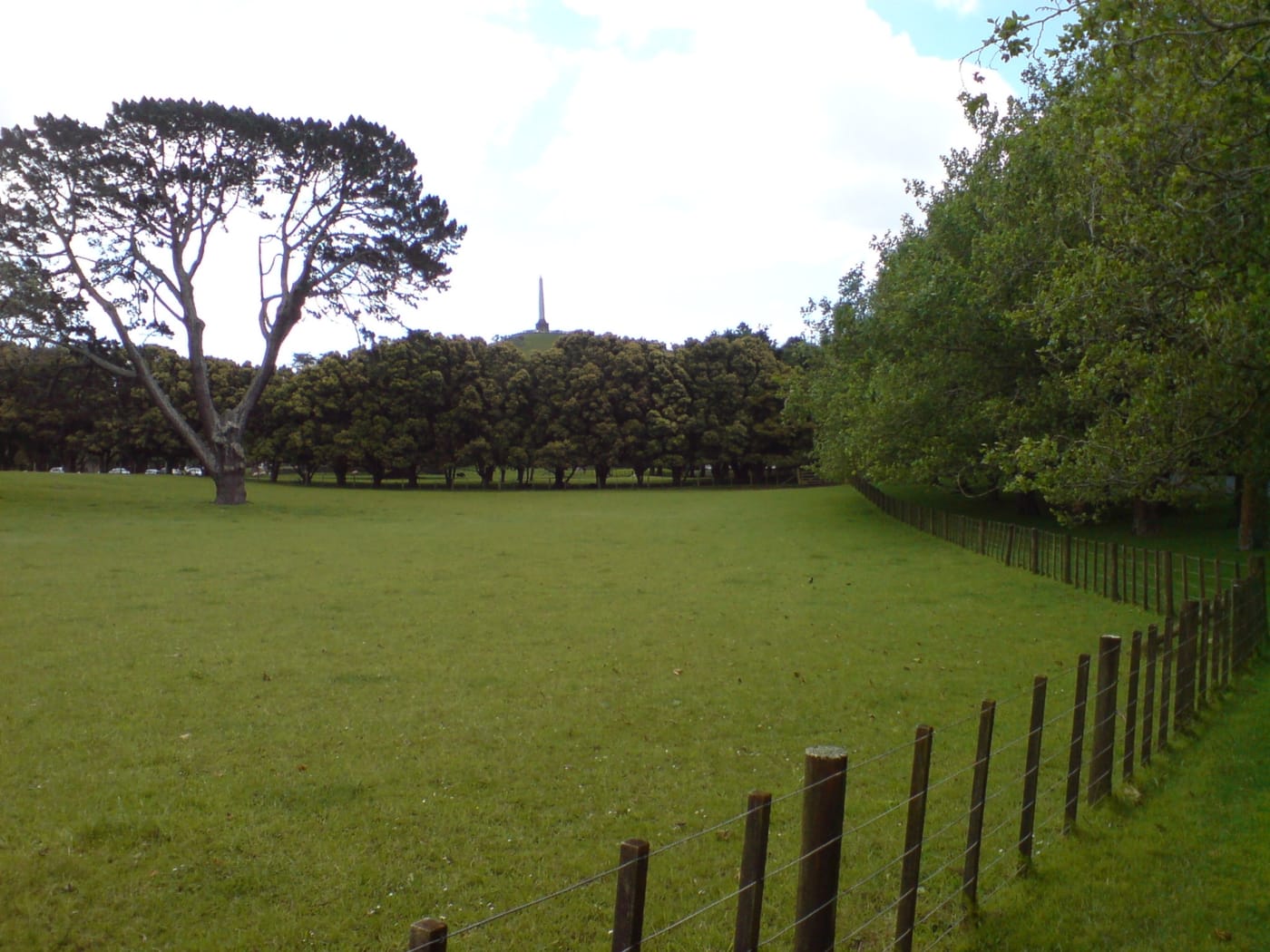 The obelisk and grazing sheep on One Tree Hill in Auckland