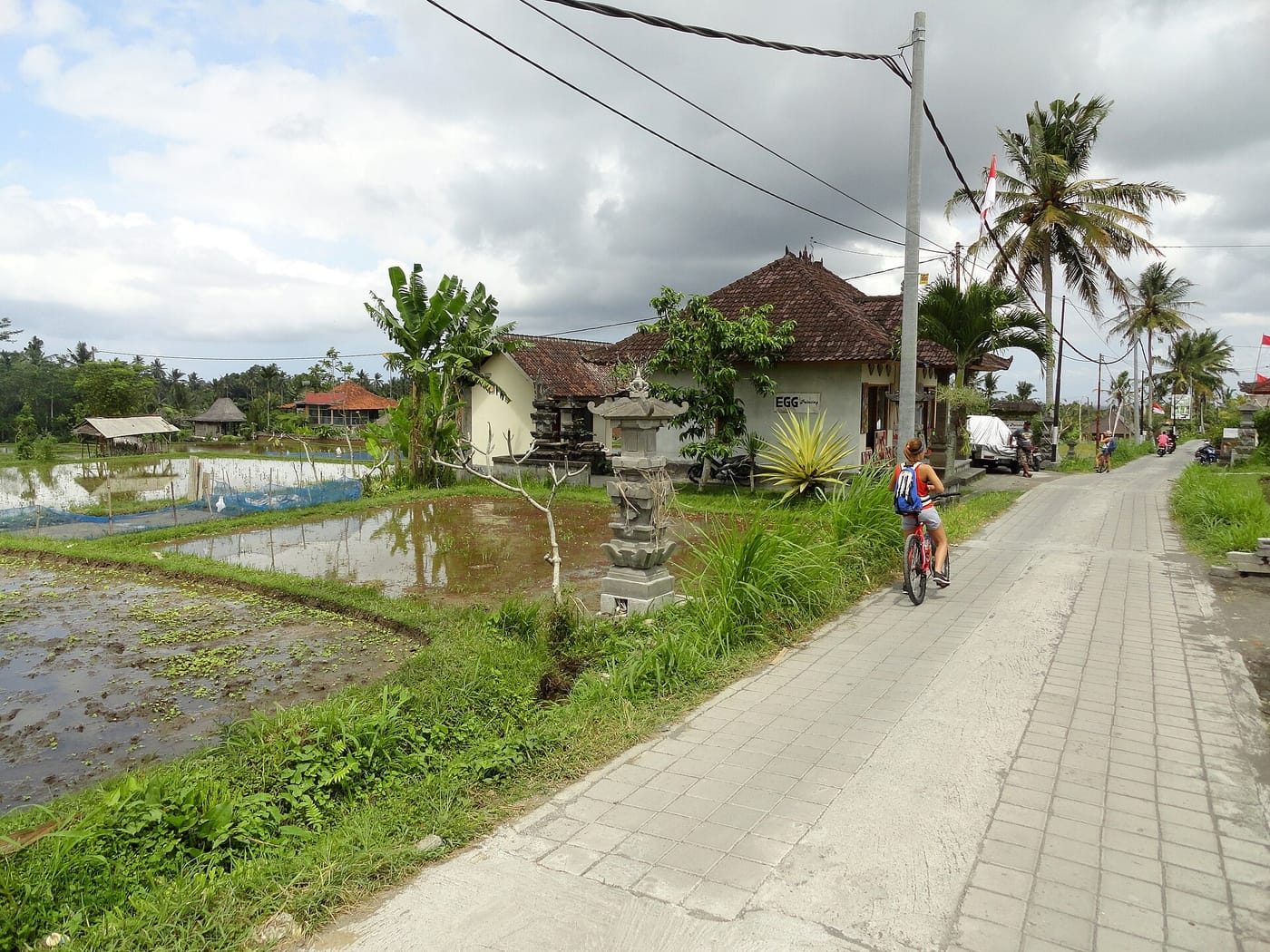 The grassy path of the Campuhan Ridge Walk near Ubud, Bali