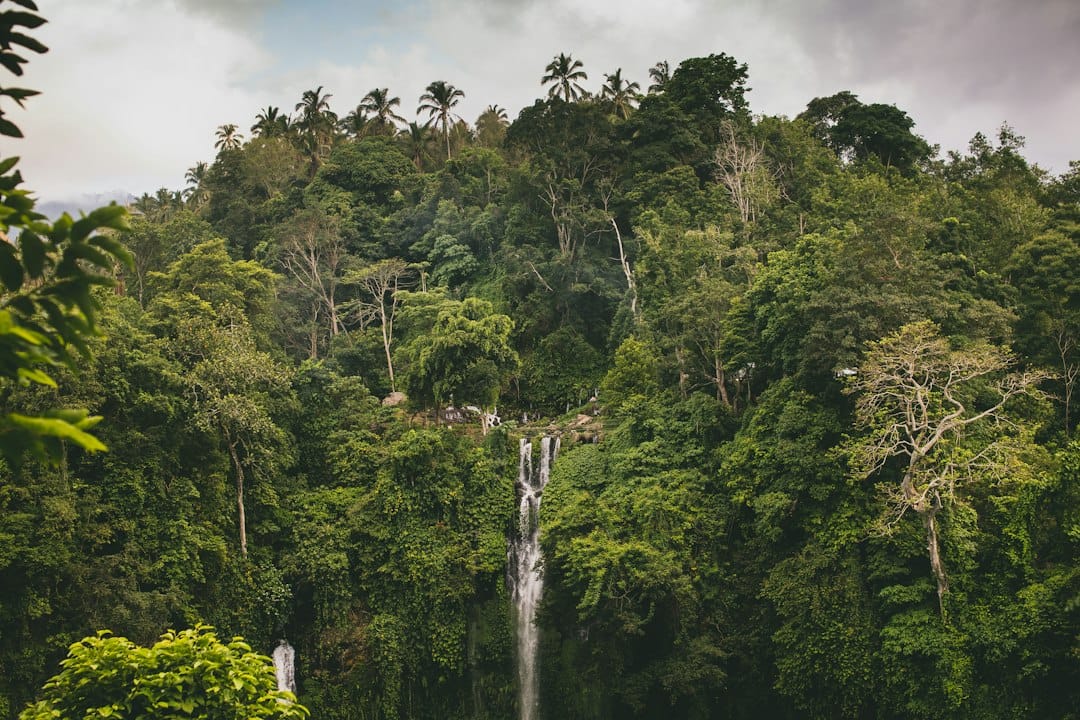 The jungle cascades of Sekumpul Waterfall in Bali