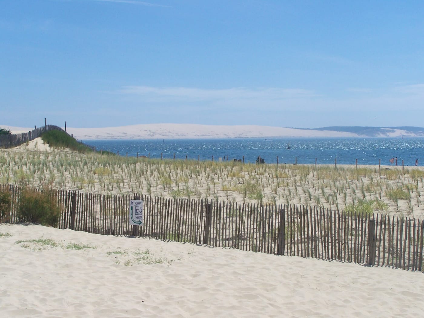 The vast Dune du Pilat sand dune between forest and the Atlantic