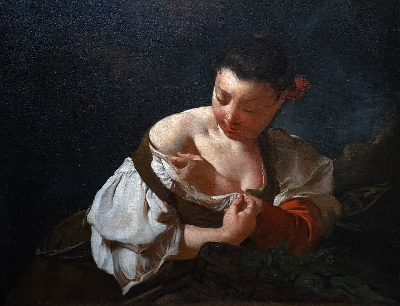 The Museum of Fine Arts in Boston