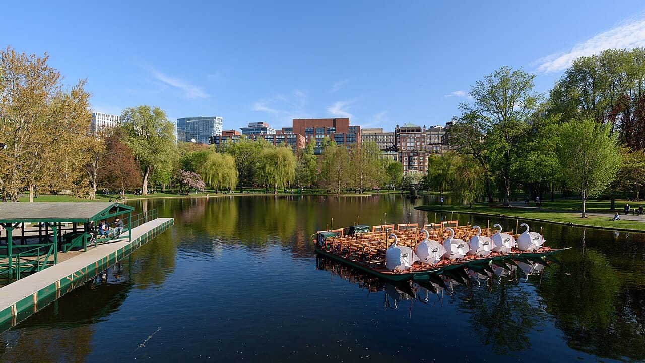 Swan boats on the pond in Boston Public Garden