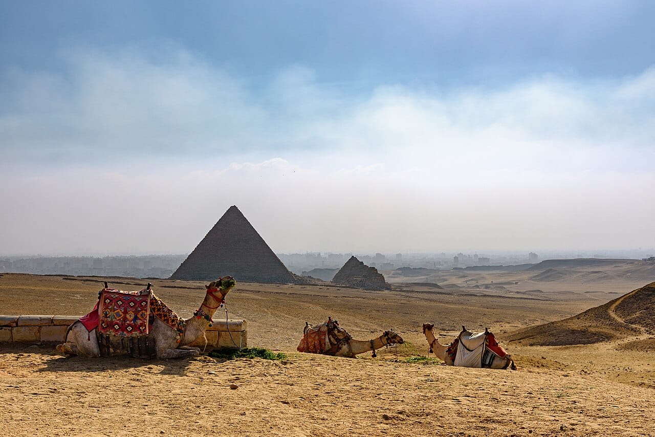 A camel ride at the Pyramids of Giza, Cairo