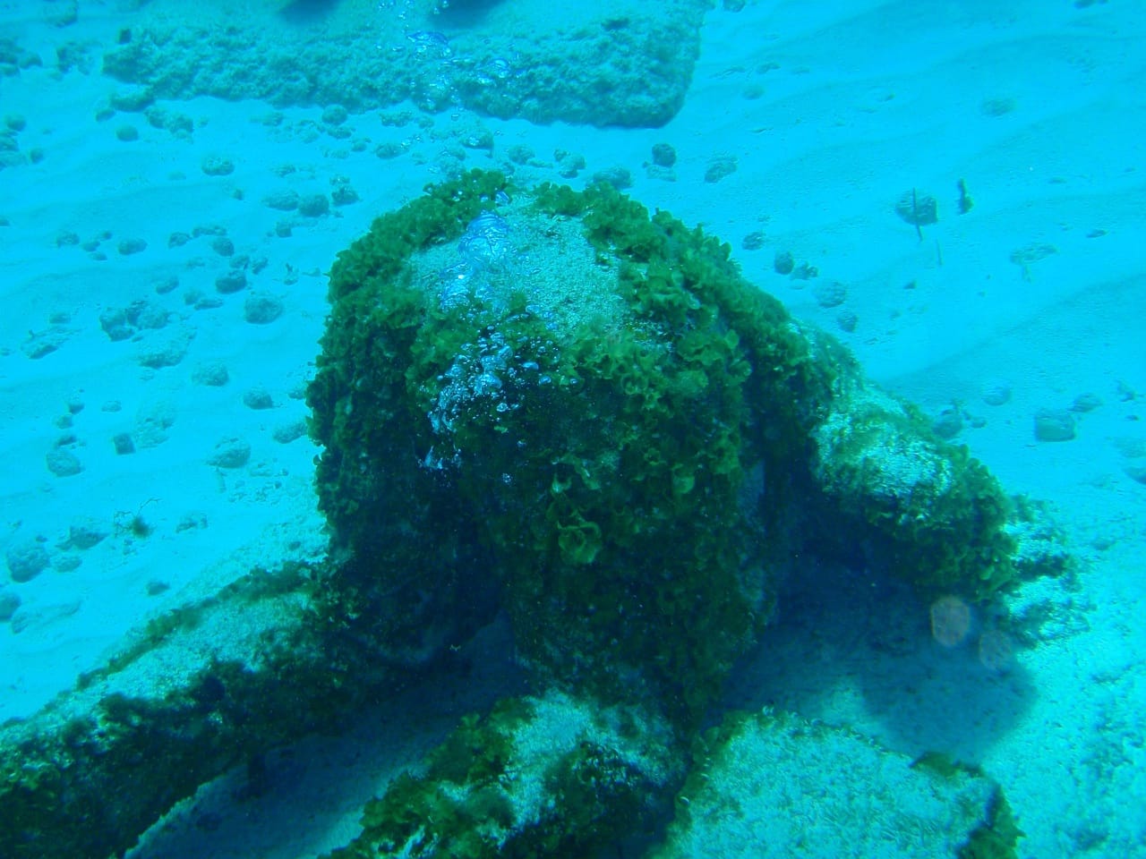 Snorkelling the reef, Cancún