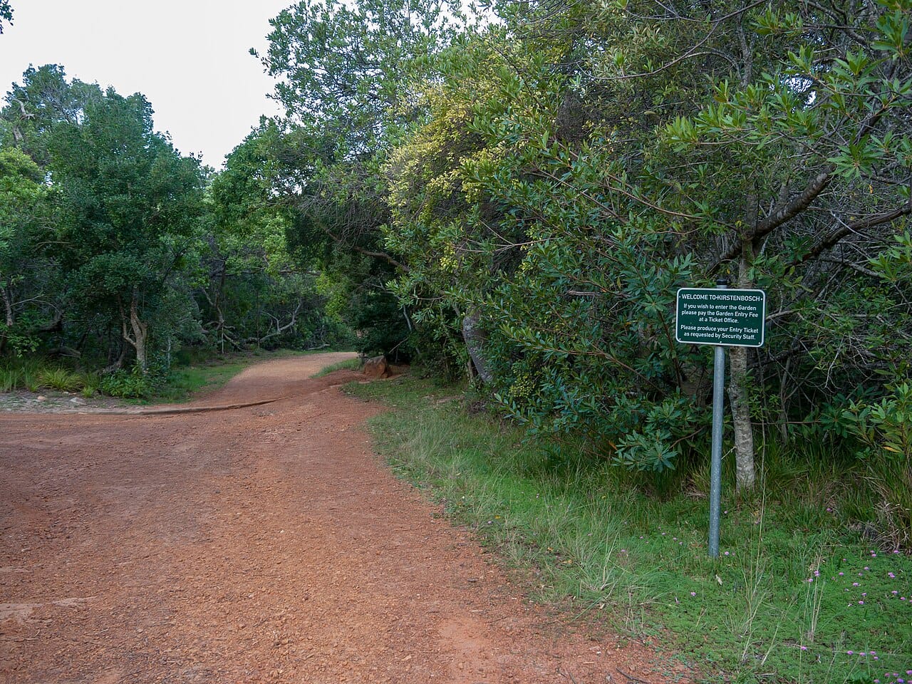 Kirstenbosch Botanical Garden, Cape Town