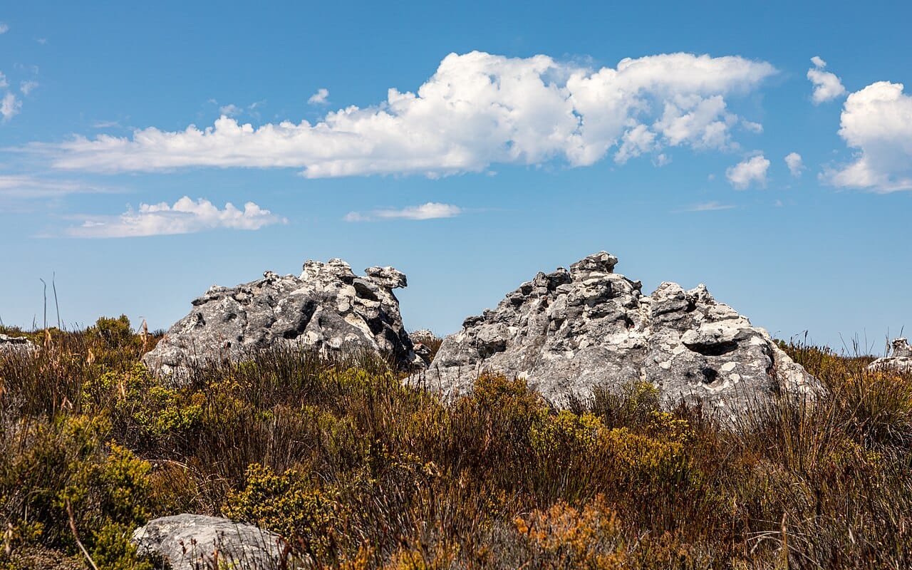 Cape Town — The Mother City — Table Mountain, beaches and winelands