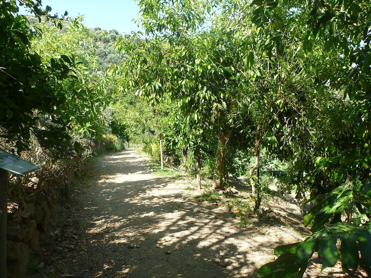 The Botanical Park of Crete near Chania