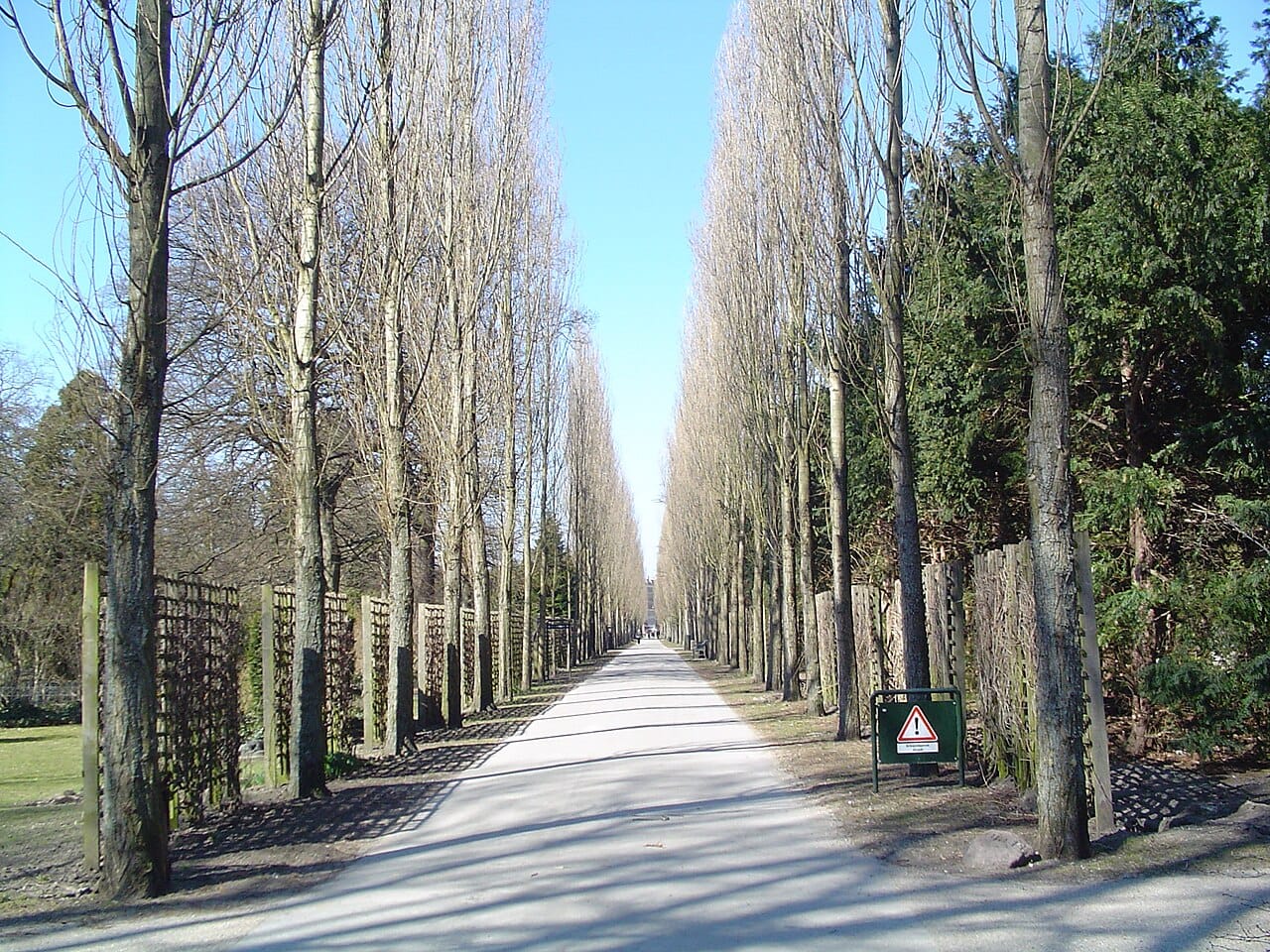 The leafy Assistens Cemetery in Nørrebro, Copenhagen