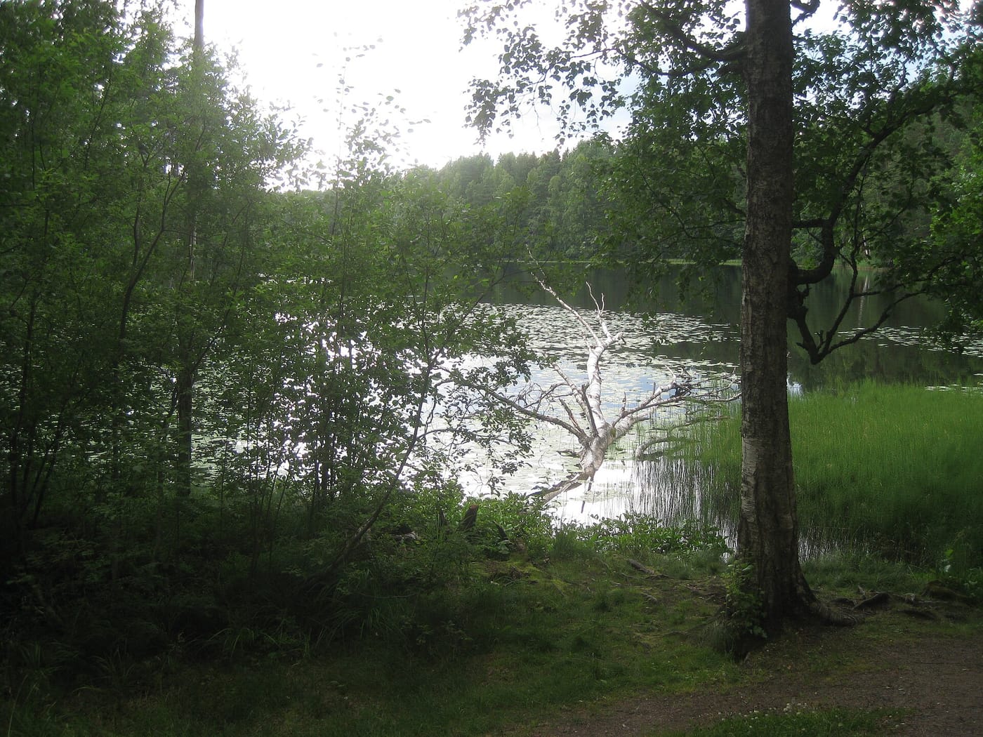 A forest lake in Nuuksio National Park near Helsinki