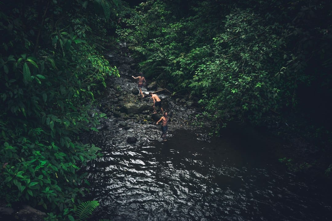 Tiu Kelep waterfall near Senaru, Lombok