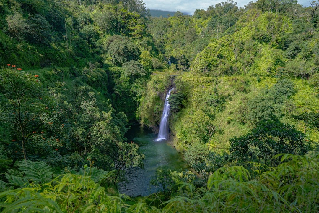 A waterfall on the Road to Hana, Maui