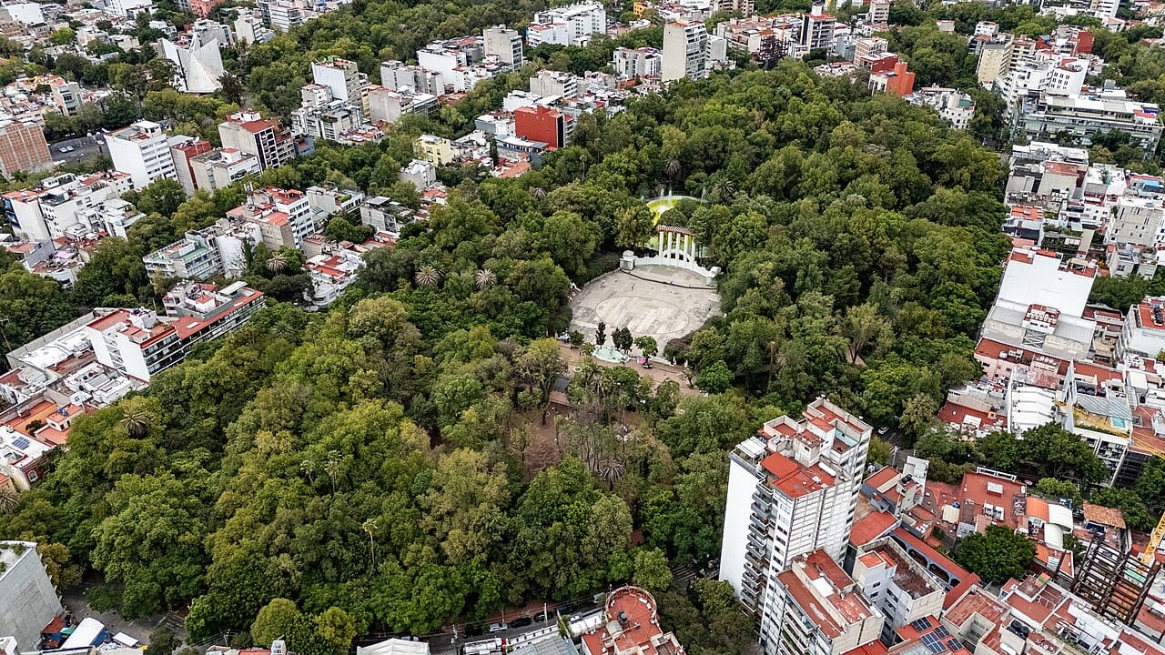 A leafy street in Condesa, Mexico City
