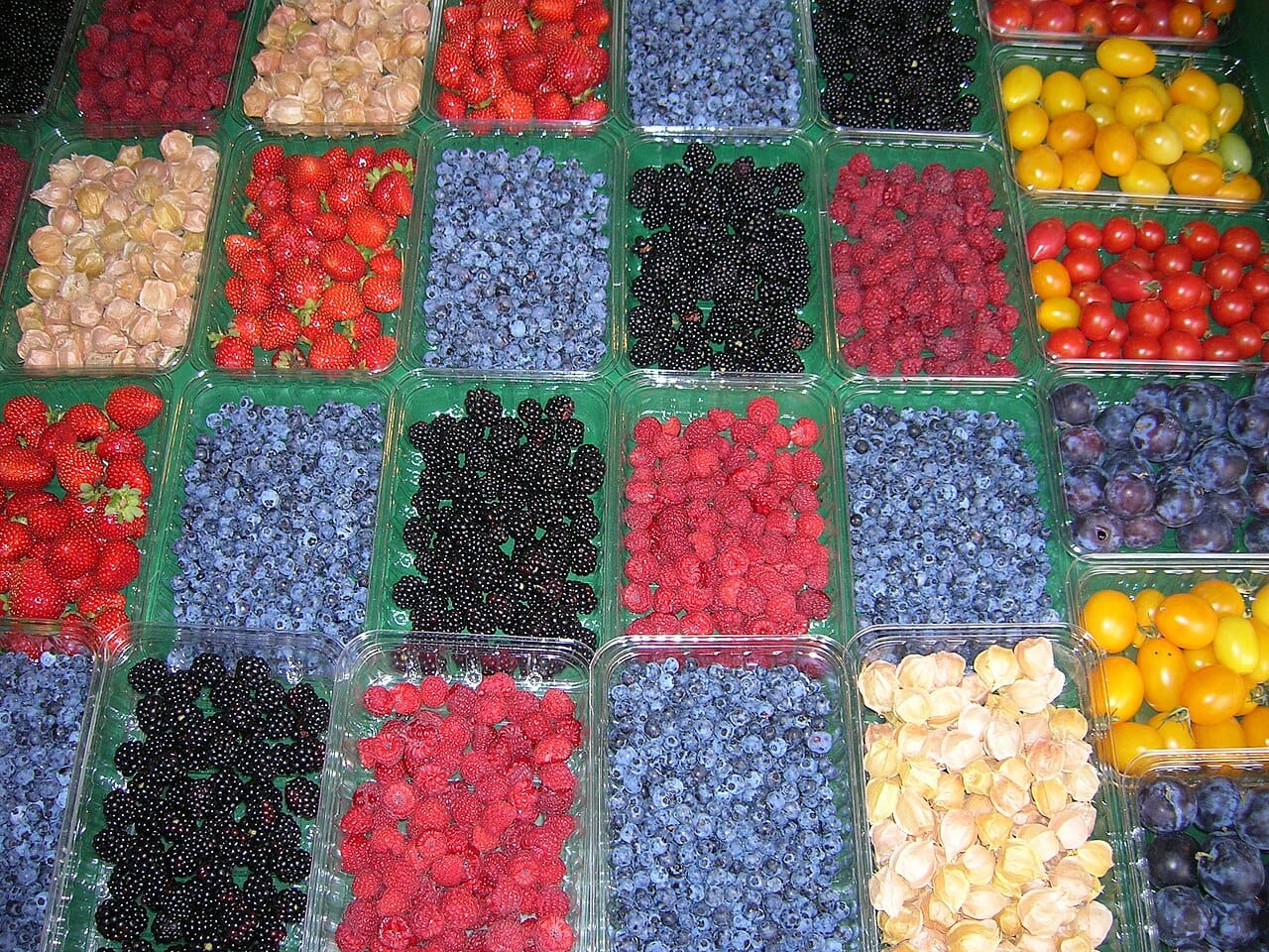 Jean-Talon Market, Montreal