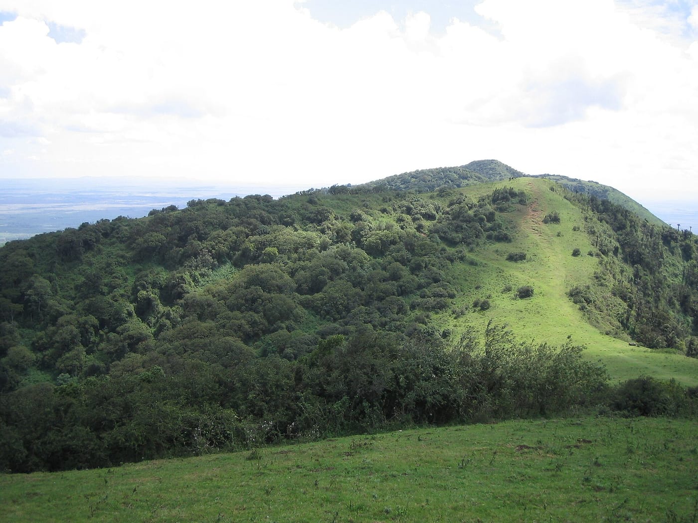 The rolling green ridge of the Ngong Hills near Nairobi