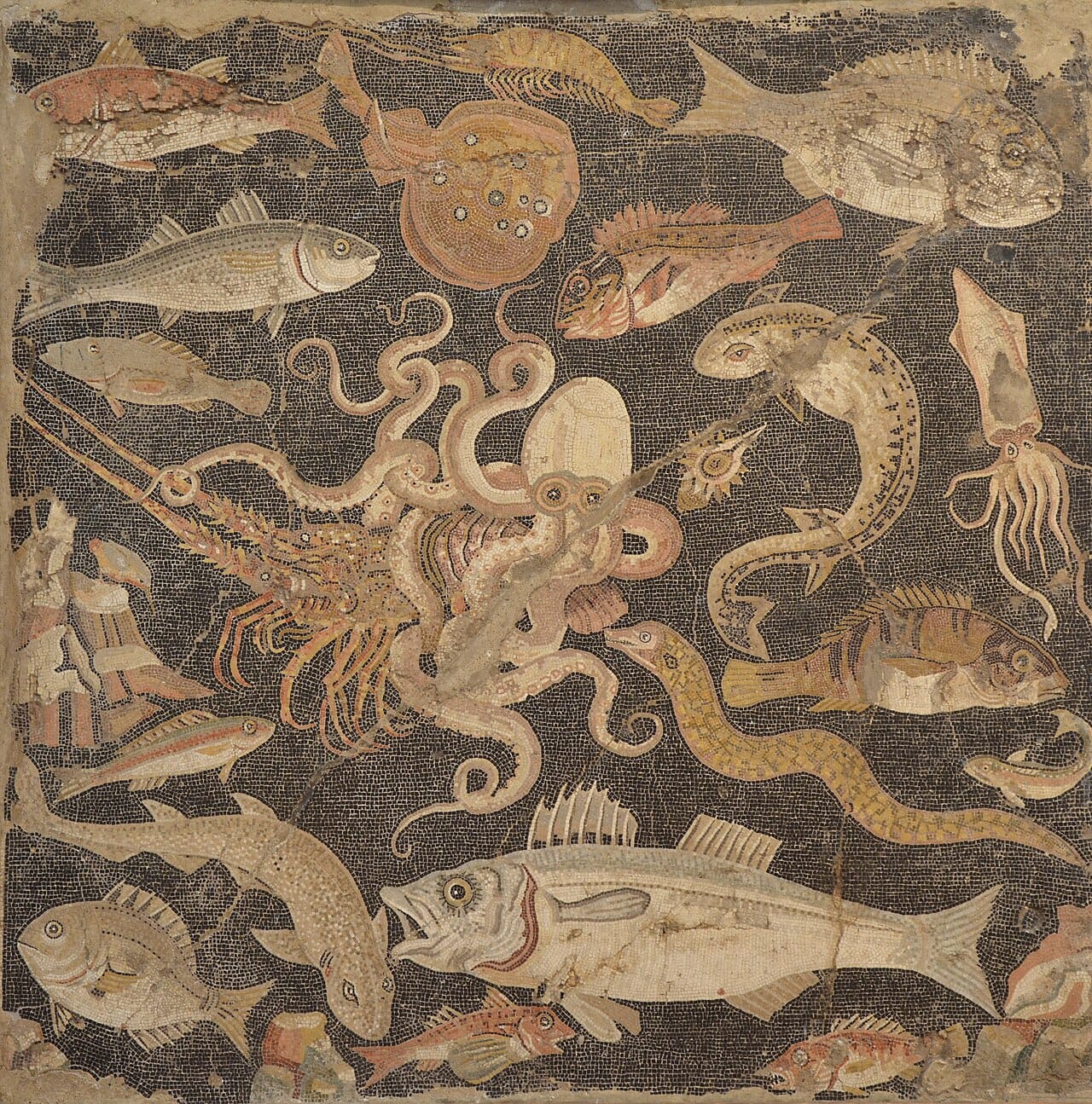 The National Archaeological Museum, Naples