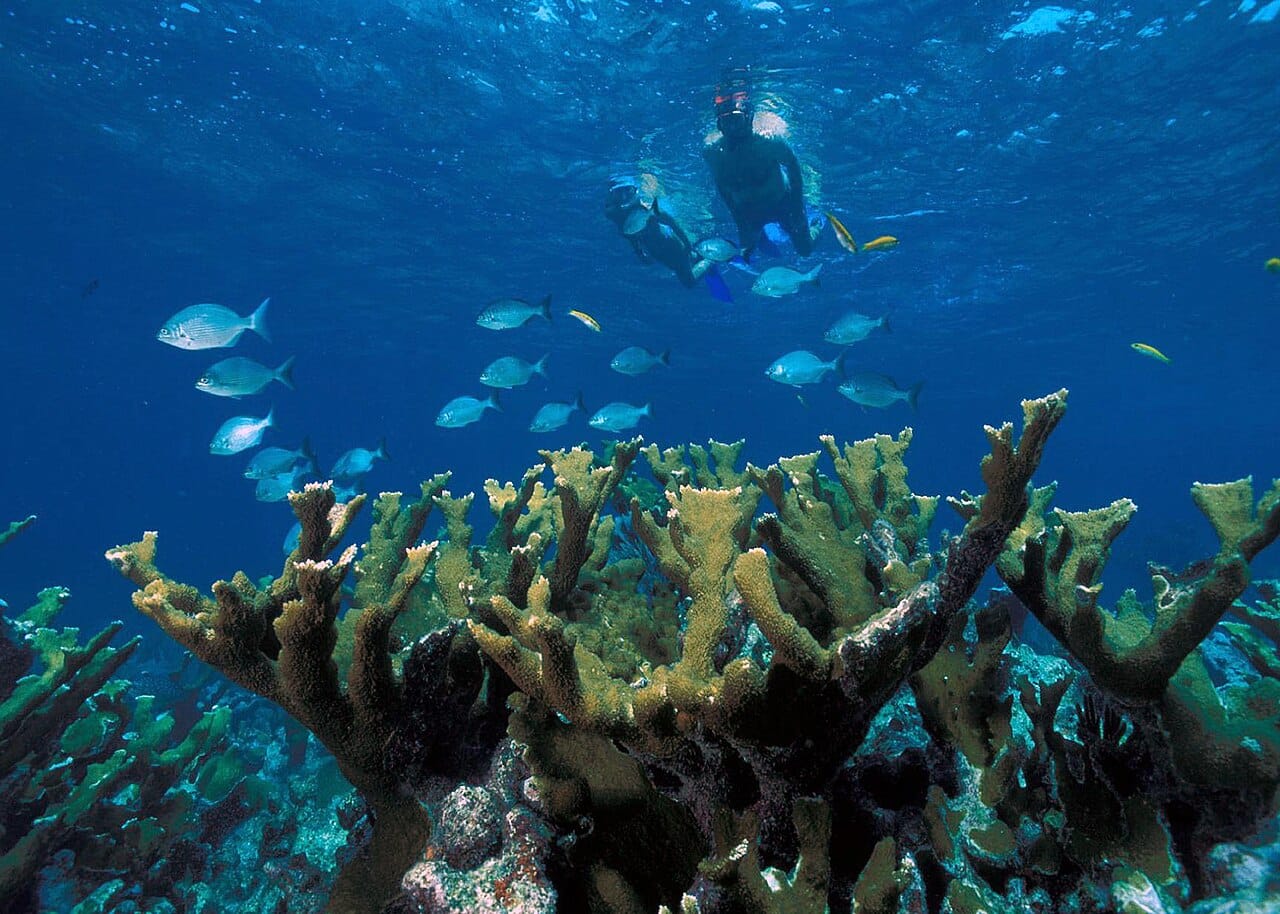Snorkelling and watersports, Pattaya