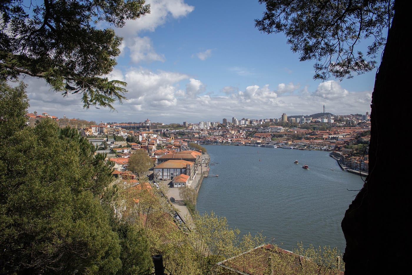 The view over Porto's rooftops and the Douro from the Crystal Palace gardens