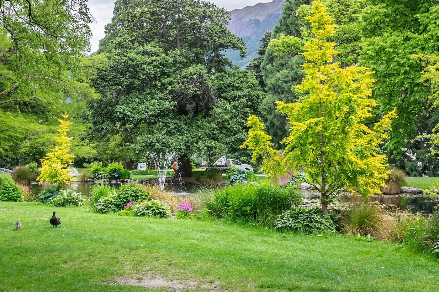 Queenstown Gardens and Lake Wakatipu
