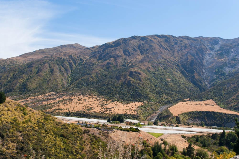 Gibbston Valley vineyards near Queenstown