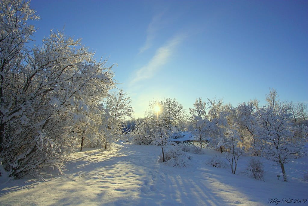 The Reykjavík Botanic Garden