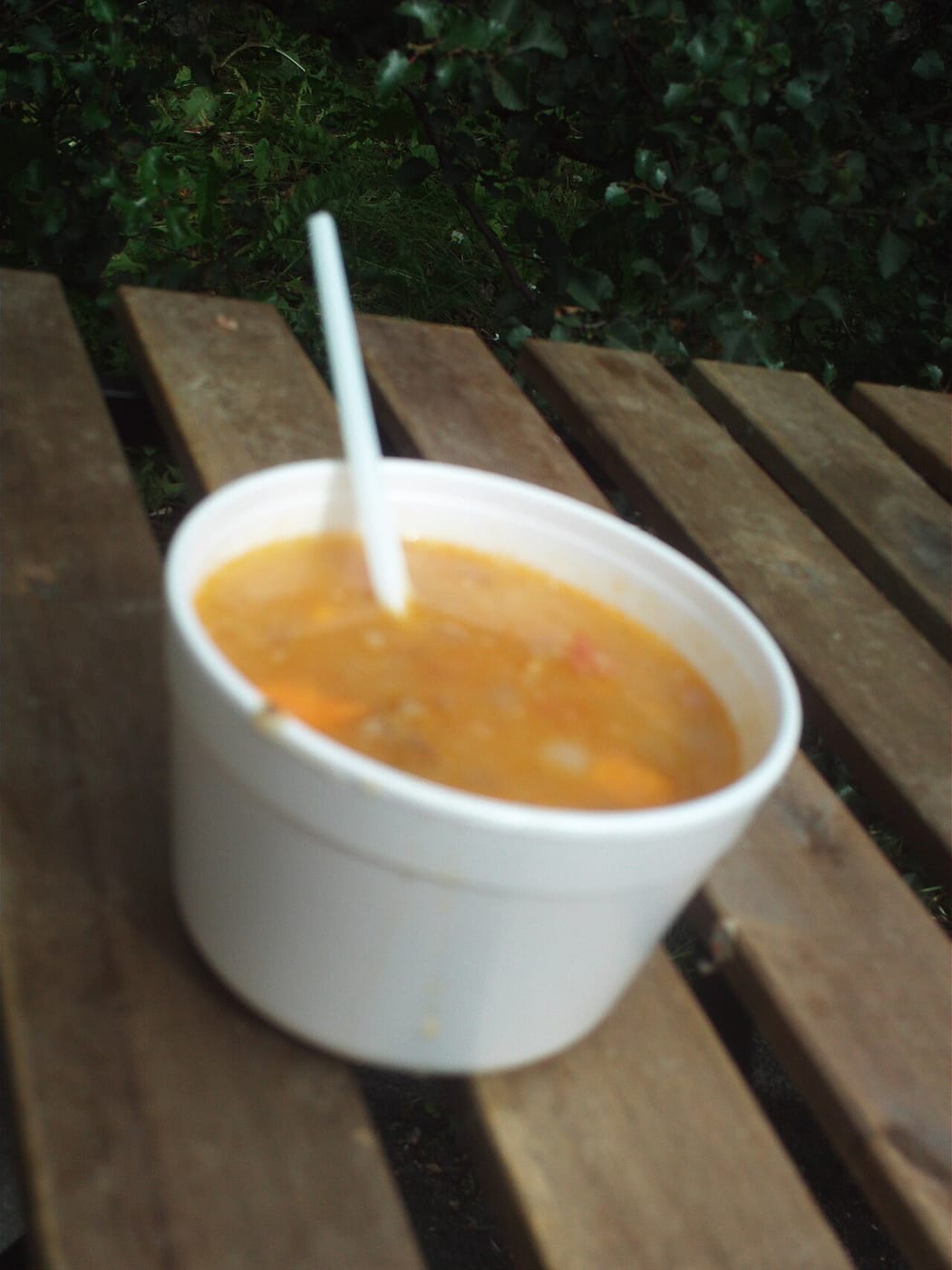 Icelandic lamb and new Nordic cuisine, Reykjavík