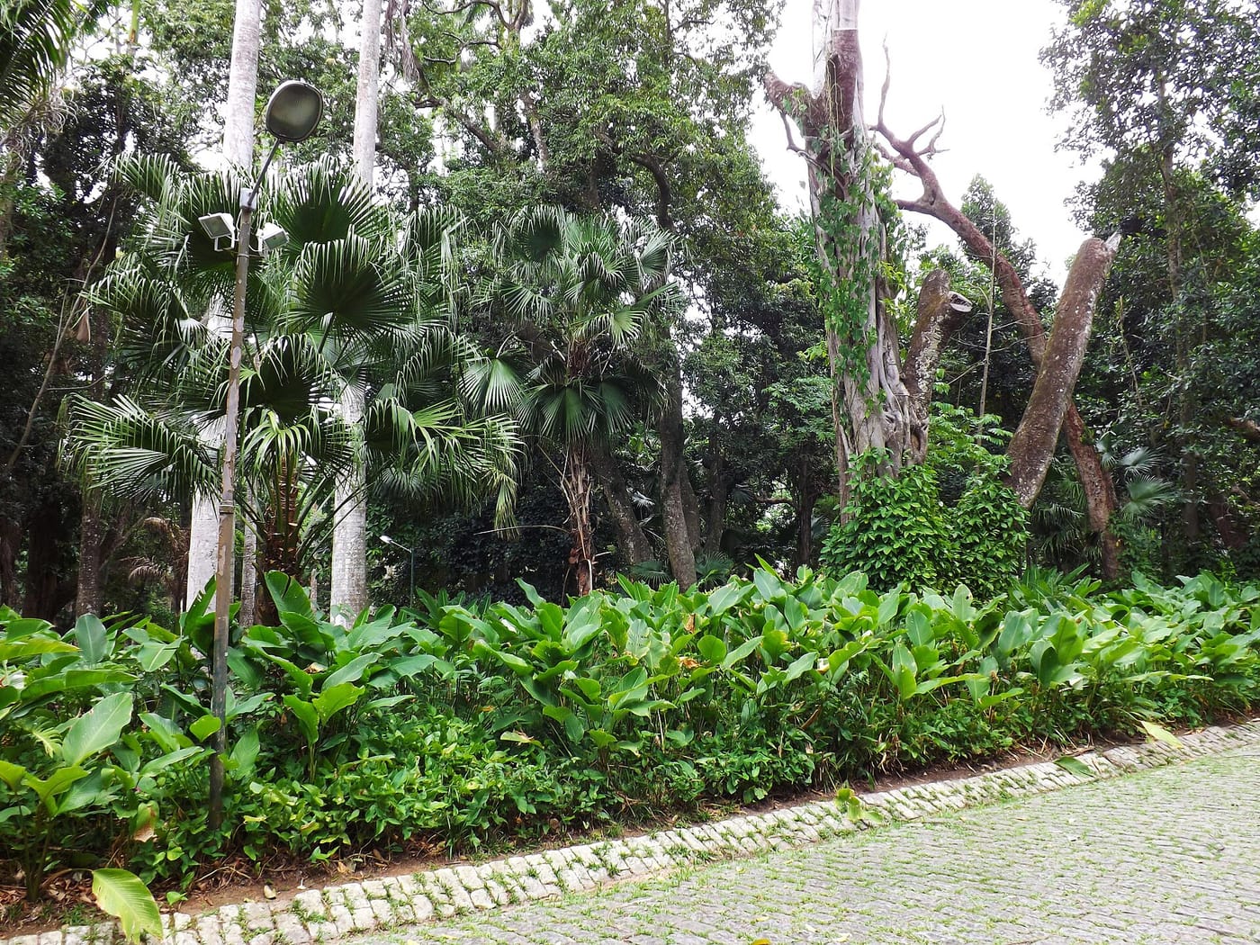 The mansion and jungle of Parque Lage below Corcovado in Rio de Janeiro