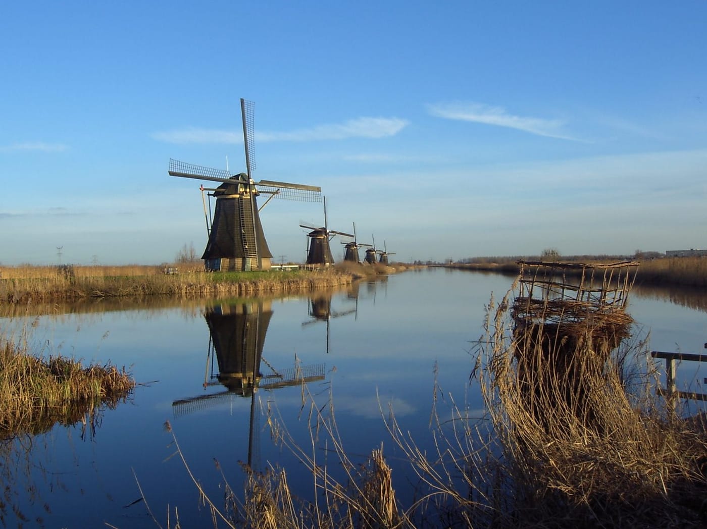 A windmill reflected in the canal at Kinderdijk near Rotterdam