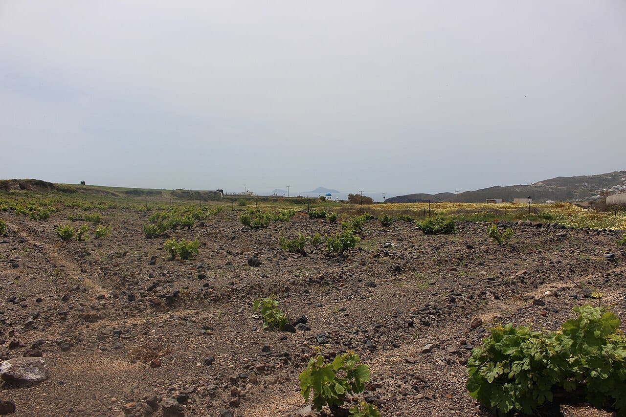 A Santorini winery with caldera view