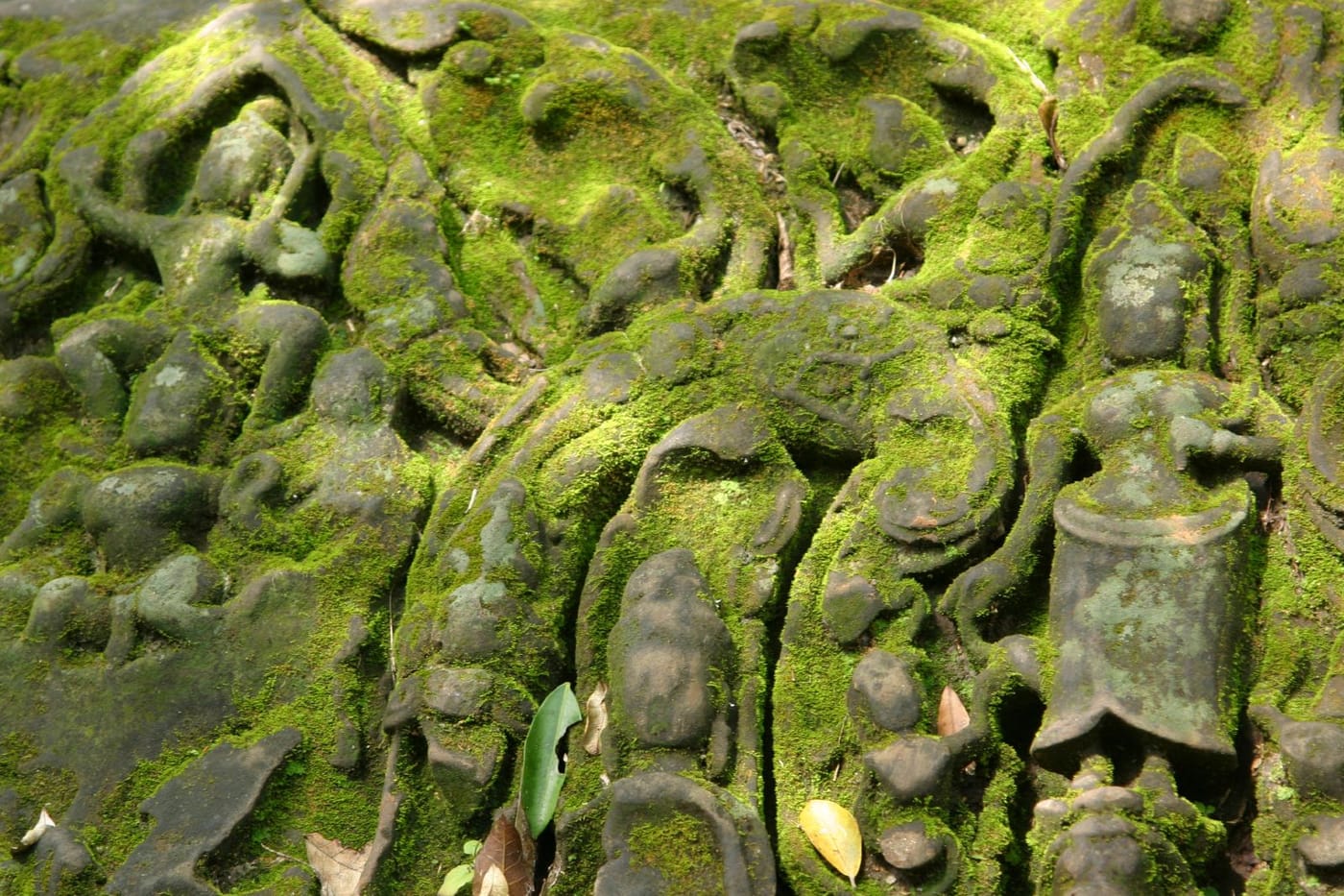 The jungle-covered ruins of the Beng Mealea temple in Cambodia