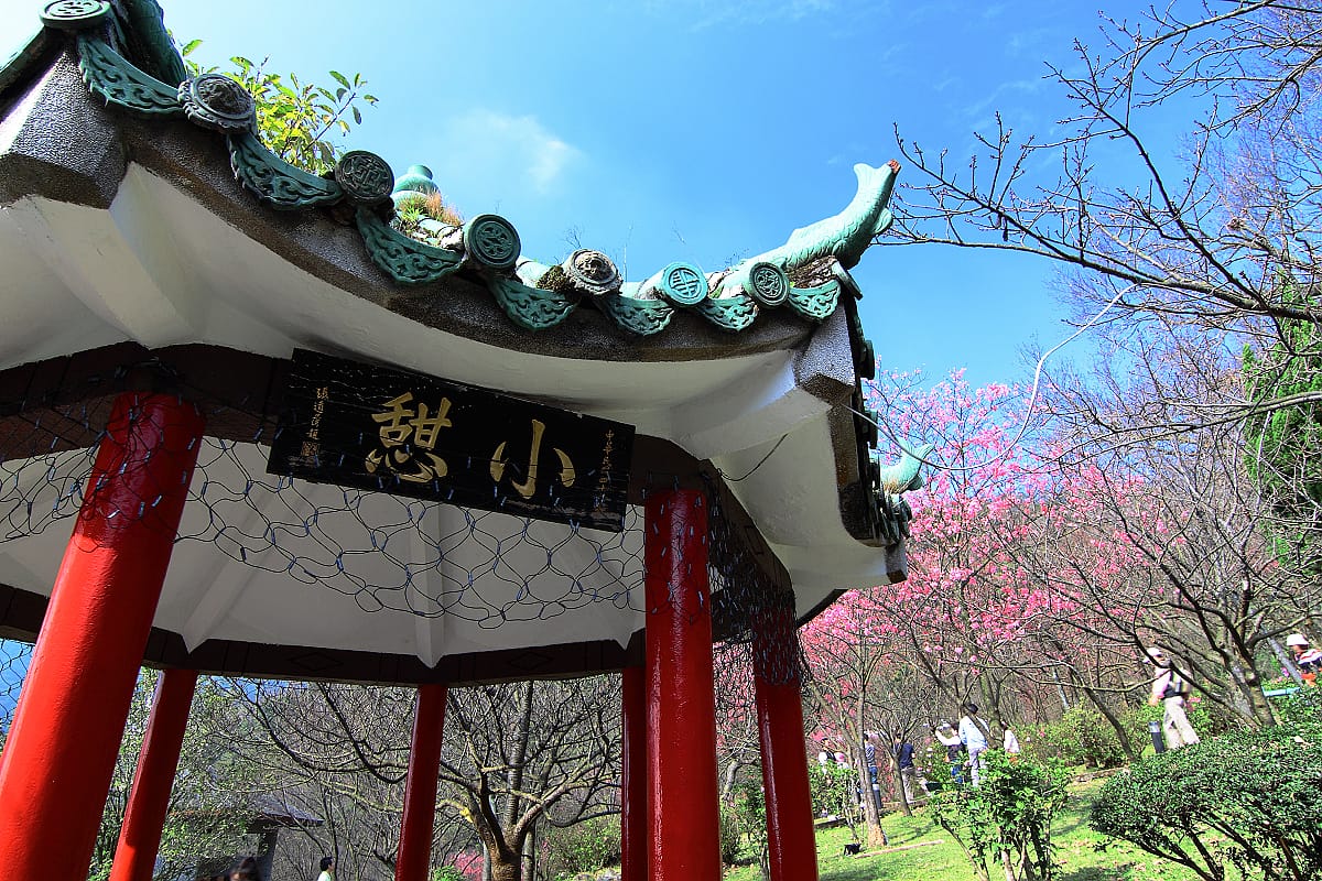 A pavilion among blossom in Yangmingshan National Park near Taipei