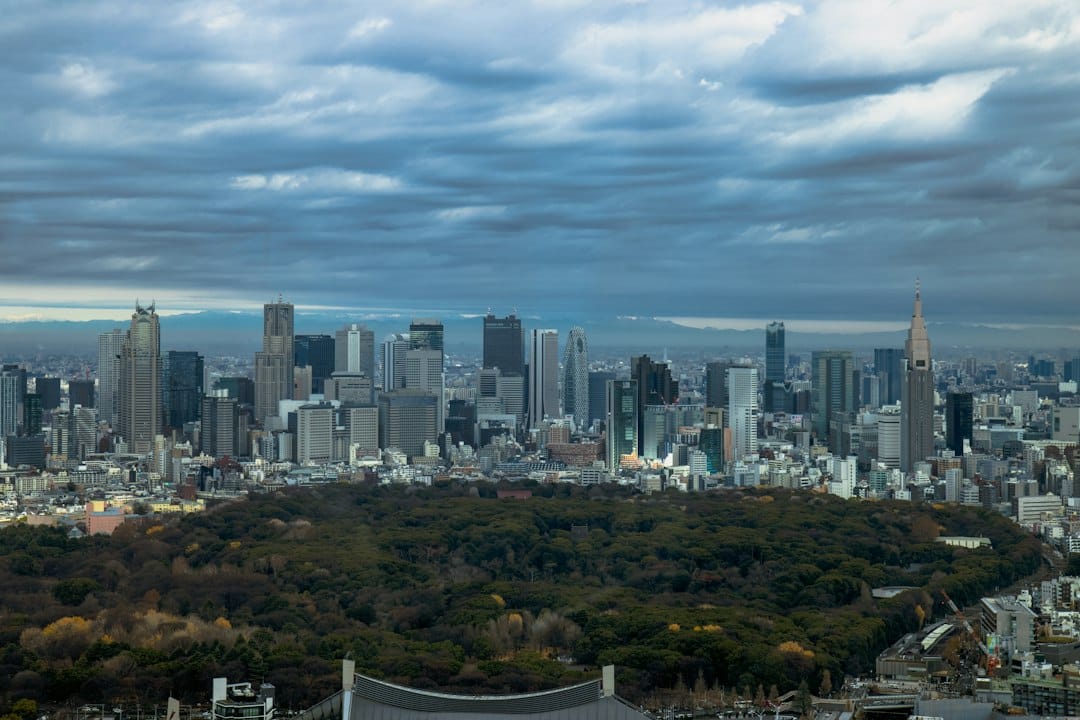 Green treetops of Yoyogi Park below the Tokyo skyline