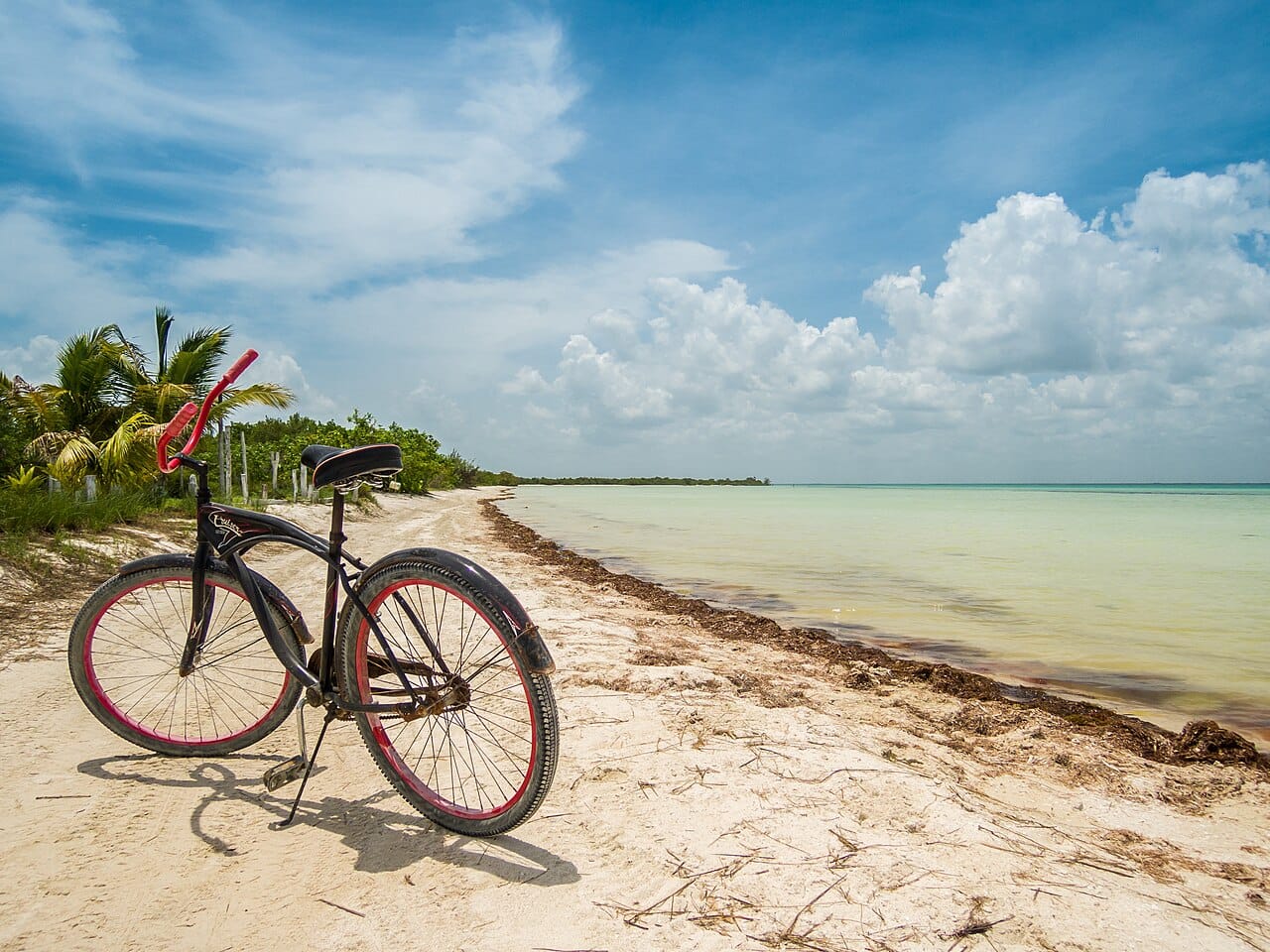 A bicycle on a jungle path in Tulum