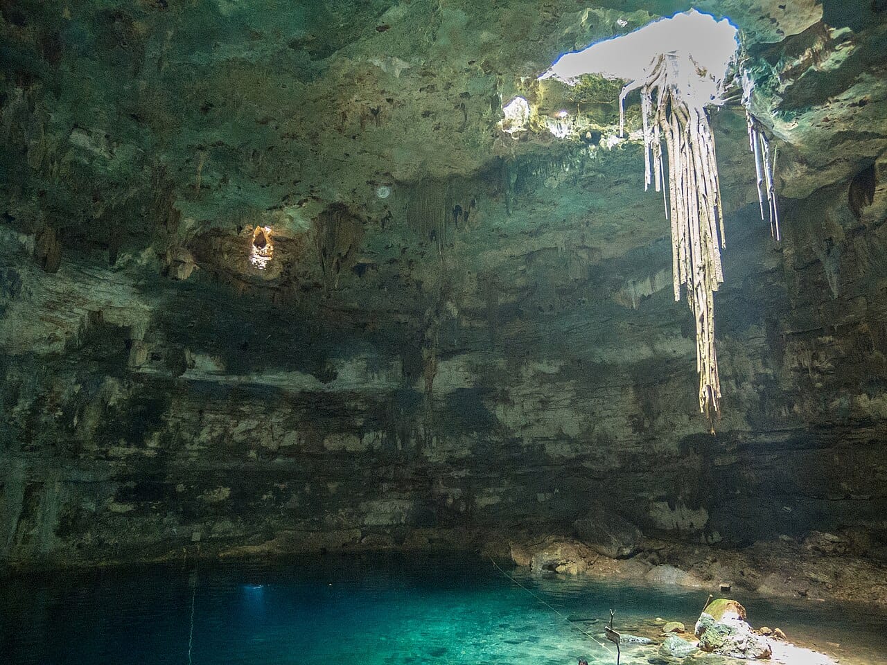 Swimmers in the clear water of Gran Cenote near Tulum