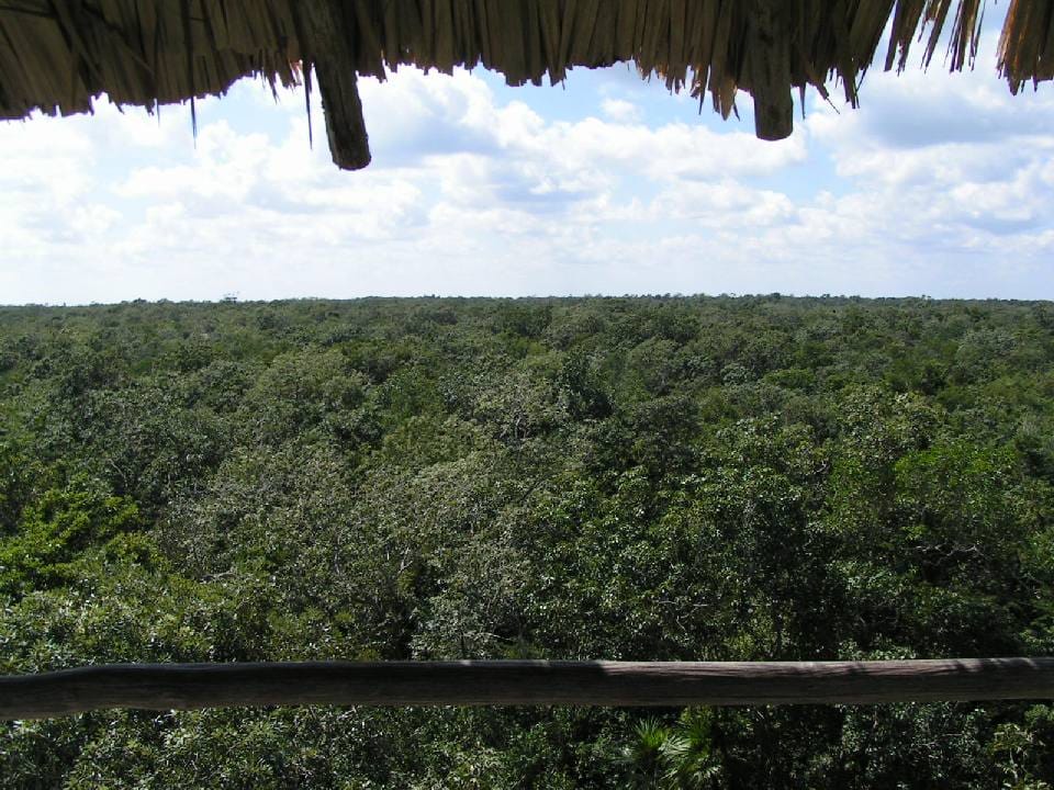 Mangrove lagoons of the Sian Ka'an reserve near Tulum