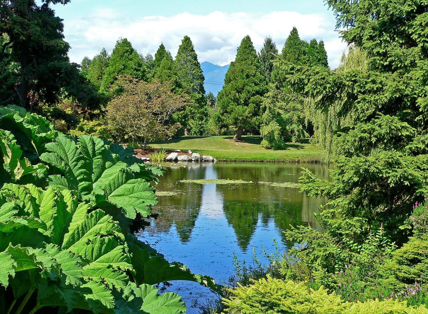 A pond and greenery in the VanDusen Botanical Garden in Vancouver