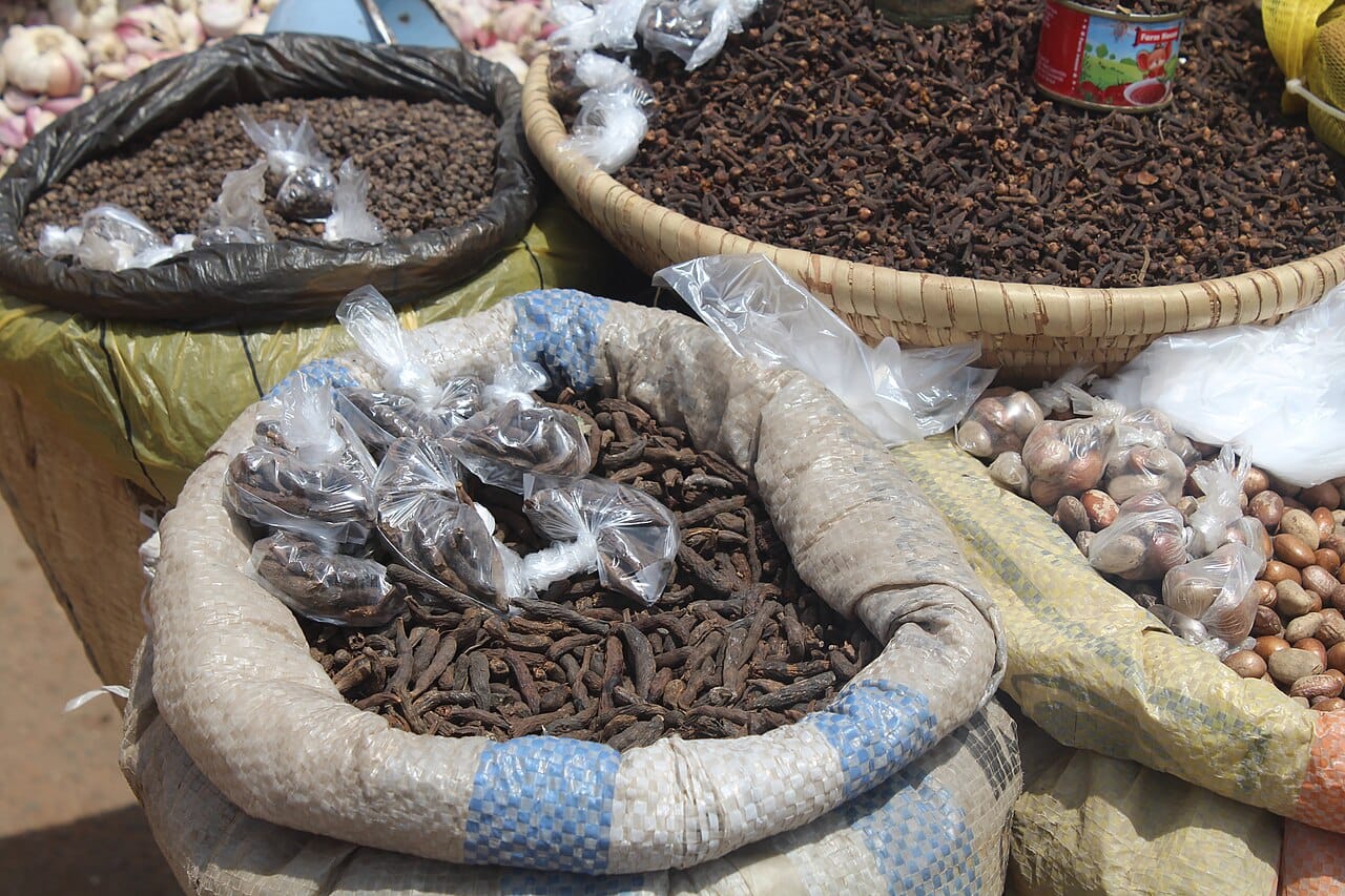 A spice farm tour, Zanzibar